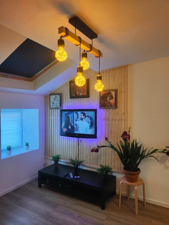 Les Lofts De Provins: Apt 1 Zewnętrze zdjęcie